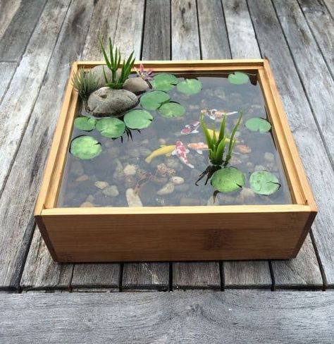 Miniature Koi Pond, Container Pond, Small Water Gardens, Kebun Herbal, Container Water Gardens, Patio Pond, Kolam Koi, Taman Air, Indoor Water Garden