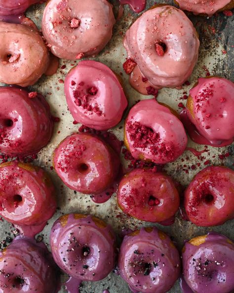 Eggless Honey Donuts | Buttermilk by Sam Homemade Donut Recipe, Sugar Free Donuts, Homemade Donut, Homemade Donuts Recipe, Donut Recipe, Creamed Honey, Vanilla Paste, Homemade Donuts, Delicious Donuts