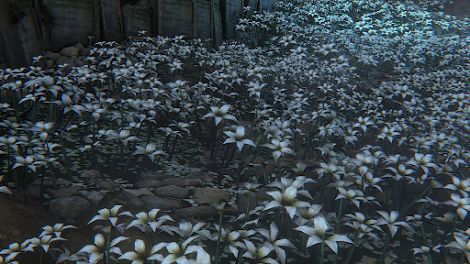 Flowers in Hunter's Dream | Bloodborne Wiki Post Apocalyptic City, Garden Of Gethsemane, Flannel Flower, Old Blood, Crocus Flower, Stargazer Lily, Easter Lily, Star Of Bethlehem, Story Of The World