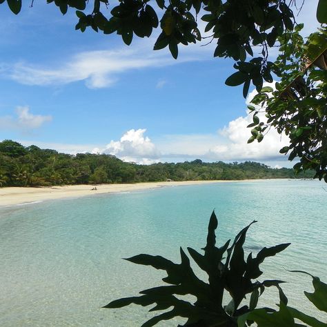 Bocas Town, Panama Travel, Best Beaches, Best Of The Best, Beach Fun, Central America, Beautiful Beaches, The List, Places To Travel