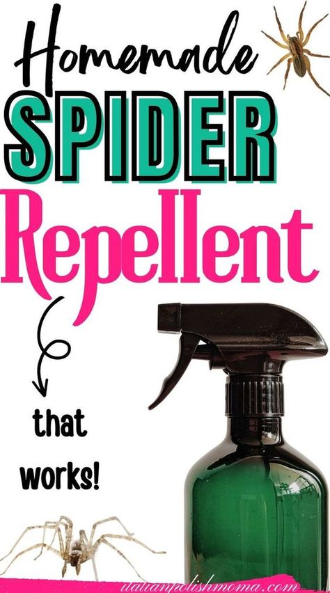 DIY spider repellent spray that works fast and is safe to use! Looking for a natural and homemade spider repellent that will get rid of those pesky spiders fast? Here are two spider repellent spray recipes that will kill those spiders in your home in no time! #spiderrepellent #spiderspray #DIYspiderrepellent #homemadespiderrepellent indoor spider repellent - DIY indoor spider repellent - DIY spider spray - natural spider repellent - DIY essential oils Natural Spider Repellant, Spider Repellent, Spider Spray, Repellent Diy, Spiders Repellent, Get Rid Of Spiders, Bug Repellent, Diy Cleaners, Cleaners Homemade