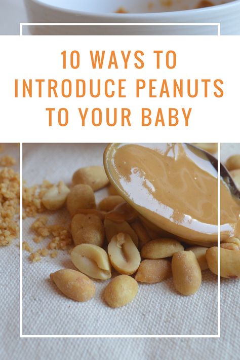 How to safely introduce peanuts to your 6 month old #babyledweaning #babyledfeeding #peanutallergy #preventpeanutallergies 6 Month Old Food, Peanut Snacks, Peanut Butter Baby, Wolf Pups, Baby Led Feeding, Infant Care, Baby First Foods, Peanut Allergy, Food Wishes