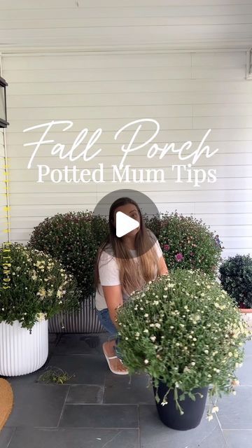 Life Stylishly - Home Decor on Instagram: "SAVE and LIKE 🍂🍁 this post for easy care tips to keep your mums looking beautiful all season long!   Potted mums are the easiest way to bring a splash of color to your fall front porch! 🎃🍂🍁👻  They’re low-maintenance and will stay fresh and vibrant with just a little care.   Pro tip: Choose mums that haven’t fully bloomed yet so you can enjoy them even longer!   I love them adding them to the mix of potted ferns that I have had through the summer and then adding in some ornamental kale. The combination is stunning.   #falldecor #frontporch #fallporchdecor #autumnvibes" Fall Front Porch With Mums, Mums And Lanterns Front Porch, Fall Front Porch With Ferns, Mums On Steps, Fall Pot Decorating Ideas, Decorating With Mums Front Porches, Mums In Front Of House, Mums Entryway, Fall Porch With Mums