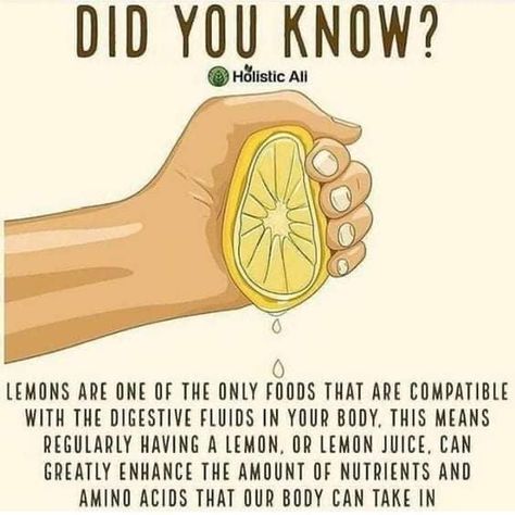 Endocannabinoid System, Did You Know Facts, रोचक तथ्य, Food Nutrition, Natural Health Remedies, Lemon Water, How To Squeeze Lemons, New Energy, Health Info