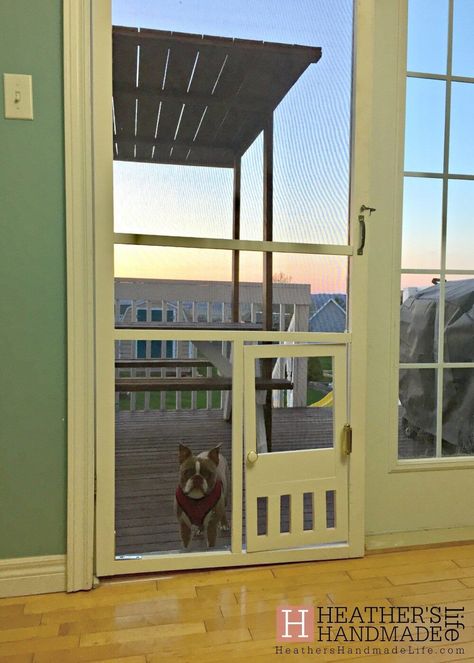 Diy Dog Door, Dog Screen Door, Diy Doggie Door, Pet Screen Door, Doggie Door, Diy Screen Door, Diy Screen, Diy Pet Toys, Door Plan