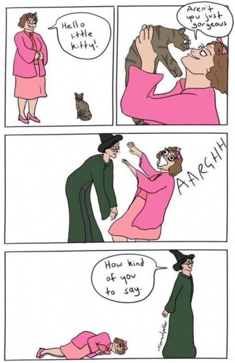 Harry Potter Umbridge, Harry Potter Cat, Professor Mcgonagall, Citate Harry Potter, Sass Queen, Glume Harry Potter, Harry Porter, Funny Harry Potter Jokes, Harry Potter Memes Hilarious