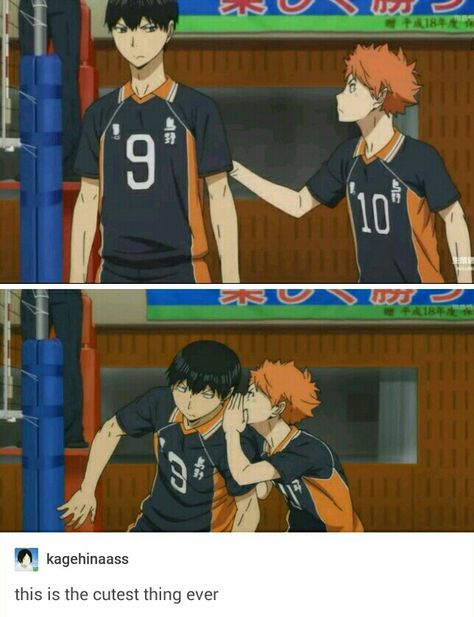 Haikyuu Memes, Kagehina Cute, Baby Crows, Haikyuu Meme, Haikyuu Volleyball, Anime School, Volleyball Anime, Haikyuu Funny, Kageyama Tobio