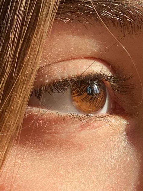 Girls Eye Dp, Brown Eyes Aesthetic, Beautiful Eyes Color, Beautiful Brown Eyes, Eye Pictures, Brown Eyed Girls, Aesthetic Eyes, Aesthetic Women, Foto Ideas Instagram