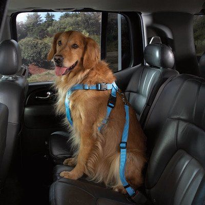 Cruising Companion Nylon Dog Car Harness, Large, Pink - http://www.thepuppy.org/cruising-companion-nylon-dog-car-harness-large-pink/ Dog Car Harness, Harness For Dogs, Dog Car Accessories, Car Harness, Dog Seat Belt, Best Dog Training, Companion Dog, Car Rides, Dog Training Collar