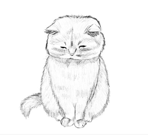 sad cat drawing by me <3 Cute Icons Aesthetic, Cat Face Drawing, Aesthetic Layout, Kitty Drawing, Drawing Cat, Cat Pose, Chill Vibes, Cat Walk, Cat Sitting