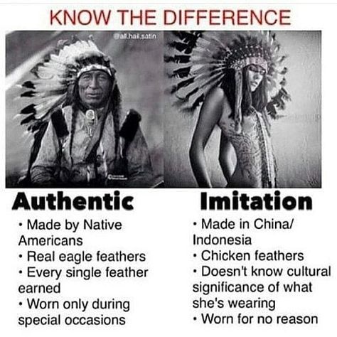 Native American Facts, Native History, Societal Issues, Aboriginal American, Native American Headdress, Native American Wisdom, Native American Men, Native American Quotes, Educate Yourself