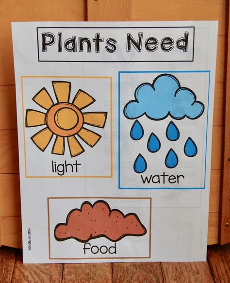 Spring Has Sprung: Learning All About Plants - Preschooligans.com % Spring And Gardening Preschool, Botany For Preschoolers, Plants Toddler Activities, Planting Lesson Plans For Preschool, Toddler Planting Activities, Spring Ideas For Kindergarten, Spring Theme Kindergarten, Garden Theme Toddler Activities, Preschool Planting Seeds