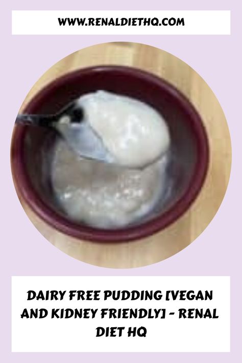 You need this dairy free pudding that is low sodium, low potassium and kidney friendly! The pudding is creamy and perfect for those with CKD! Coconut Milk Pudding, Dairy Free Pudding, Kidney Diet Recipes, Dairy Free Lunch, Low Cholesterol Diet, Vegan Pudding, Milk Allergy, Renal Diet, Nutrition Guidelines