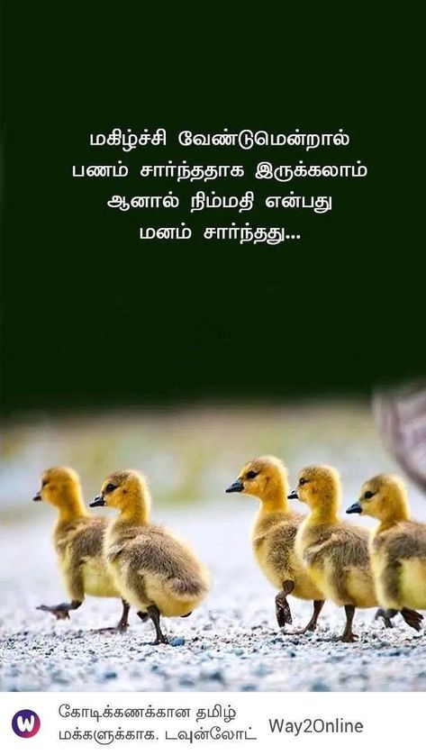 Positive Quotes In Tamil, Evergreen Quotes, Stories With Moral Lessons, Situation Quotes, Life Quotes Inspirational, Unknown Quotes, Quotes In Tamil, Tamil Love Quotes, Tamil Motivational Quotes