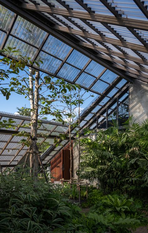 Gallery of Dog / Human House / EKAR - 9 House In Thailand, Dog Human, Shigeru Ban, Home Greenhouse, Farm Design, Earthship, Hand Craft, Roof Design, Indoor Outdoor Living