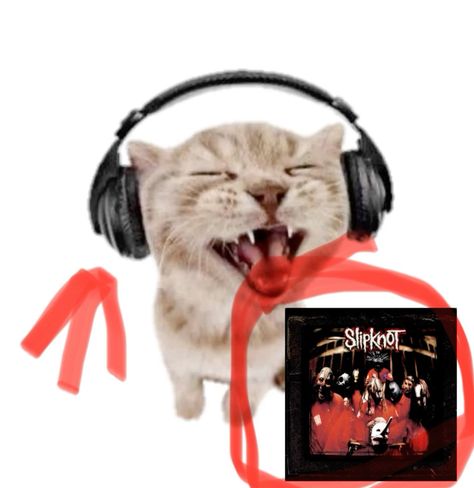 Genetic and archaeological evidence show that people and cats have been buddies for 10,000 years, so it's no wonder that we're so comfortable in each other's presence. Slipknot Pfp Icon, Slipknot Wallpapers Desktop, Slipknot Funny, Slipknot Icons, Corey Taylor Slipknot, People And Cats, Being Weird, Funny Looking Cats, 2013 Swag Era