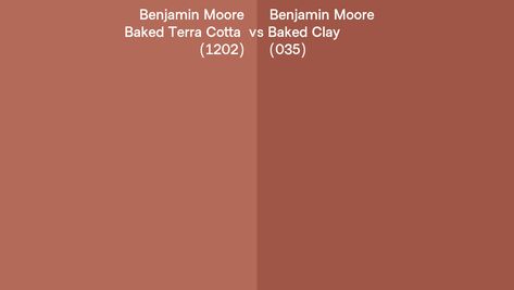 Baked Terracotta Benjamin Moore, Benjamin Moore Baked Terra Cotta, Baked Terra Cotta Benjamin Moore, Benjamin Moore Terra Cotta Colors, Terra Cotta Bathroom, Colors 2023, Rust Paint, Baking Clay, Toilet Room