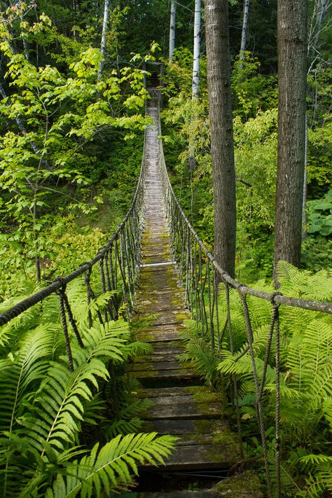 hanging rope bridge at Les Quatres Vents, Quebec, Canada Emotional Burnout, Tree Bridge, Nature Bridge, Hanging Bridge, Old Bridges, Rope Bridge, Benefits Of Gardening, Path Ideas, Natural Bridge