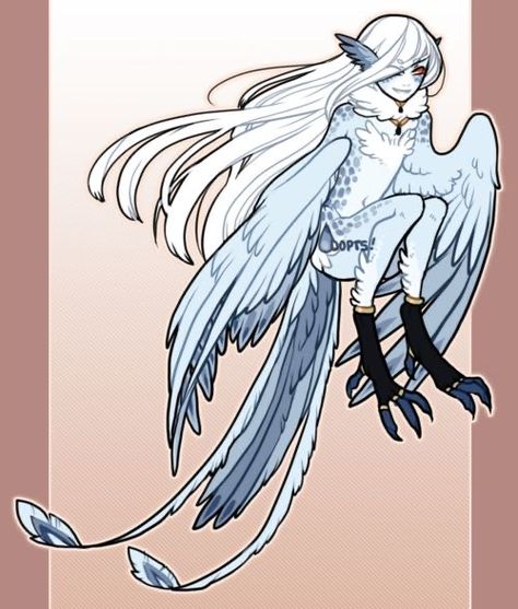 Monster Girl Encyclopedia, Bird People, Wings Art, Fantasy Creatures Art, Mythological Creatures, Creature Concept Art, Creature Concept, Monster Art, 영감을 주는 캐릭터