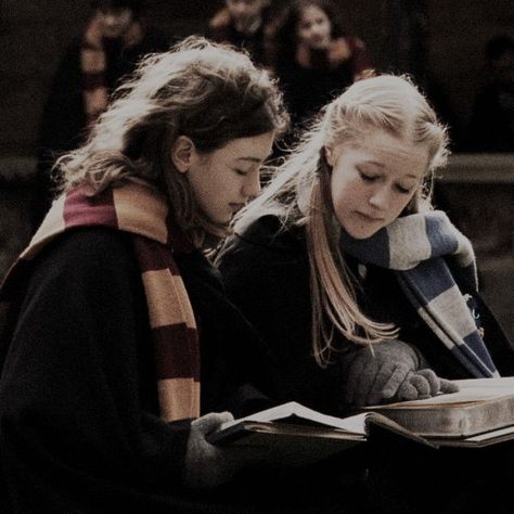 Harry And Hermione Aesthetic, Gryffindor And Ravenclaw, Harry Potter Couples, Harry Potter Toms, Ravenclaw Aesthetic, Harry And Hermione, Harry Potter Icons, Hogwarts Aesthetic, Harry Potter Aesthetic