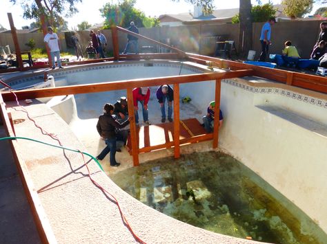 These folks feed their family with a garden in their swimming pool — and you can, too | Grist Old Above Ground Pool Repurpose, Old Swimming Pool Repurpose, Old Inground Pool Repurpose, Old Pool Repurpose, Pool Conversion, Rain Catchment System, Pool Makeover, Empty Pool, Sunken Patio