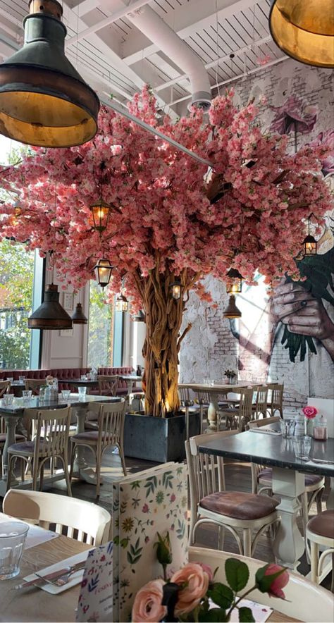 Valentine 2024, Cafe Exterior, Flower Shop Design, Cherry Blossom Trees, Brunch Places, Airport Lounge, Coffee Shop Design, Blossom Tree, Shop Decor