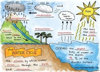 Photo credit: Science Doodles Created by an award winning teacher in Texas, this free set of foldables that focus on the water cycle is great! I use it in the 7th grade, even though it is geared towards a younger age group (grades 3-6). Many students recognize these as something that they used... Water Cycle Foldable, Science Experience, Science Doodles, The Water Cycle, Nature Education, Doodle Notes, 4th Grade Science, 6th Grade Science, Earth And Space Science