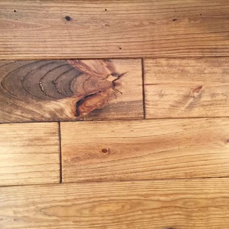 Minwax Early American stain on Pine.  Solid Hardwood flooring in Kitchen Early American Stain On Pine, Minwax Early American Stain, Staining Pine Wood, Minwax Early American, Apartment Crafts, Flooring In Kitchen, Wood Floor Stain Colors, Minwax Stain Colors, Floor Stain Colors