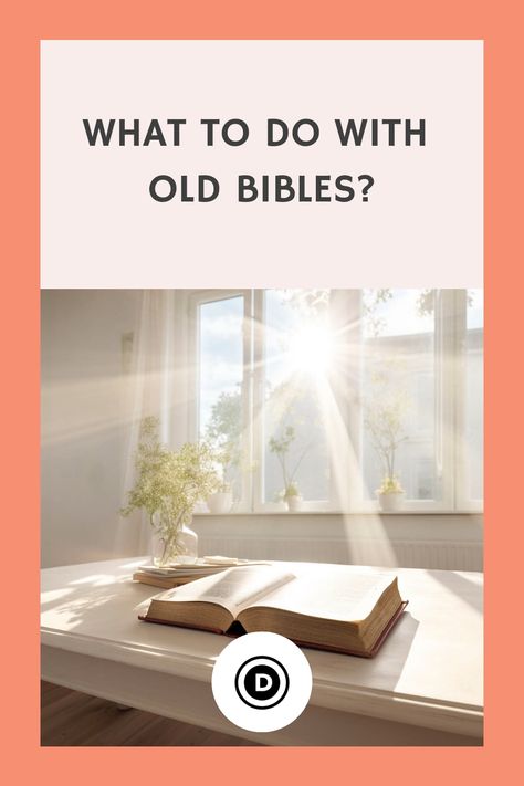 What to Do with Old Bibles? Old Bibles Decor Ideas, Displaying Old Bibles, How To Clean Old Books, Antique Bibles Vintage, Oldest Bible, Sacred Text, Word Of God, Bible, Things To Come