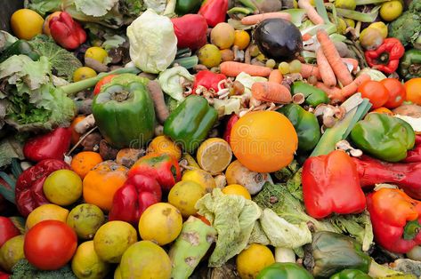 Food Waste. Rotten fruit and vegetable waste in a dumpster , #sponsored, #Rotten, #Waste, #Food, #fruit, #dumpster #ad Rotten Vegetables, Grocery Planning, Rotten Fruit, Mother Earth Living, Food Donation, Leftover Chicken, Reduce Food Waste, Budget Meals, Food Safety