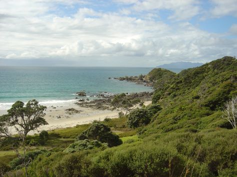 Tawharanui Regional Park, Auckland, New Zealand. Dream Place, Auckland New Zealand, Oh The Places Youll Go, Auckland, New Zealand, Bucket List, Places To Visit, Australia, Travel