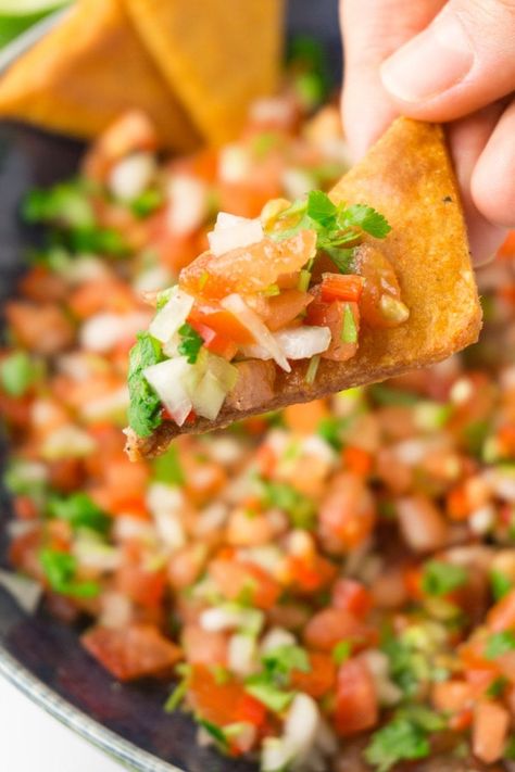 A hand holding a tortilla chip with fresh tomato salsa on top. Keto Salsa Recipe, Keto Salsa, Spicy Meatballs Recipe, Spicy Roasted Cauliflower, Spicy Chili Recipe, Tomato Salsa Recipe, Spicy Meatballs, Lemon Butter Chicken, Keto Tortillas