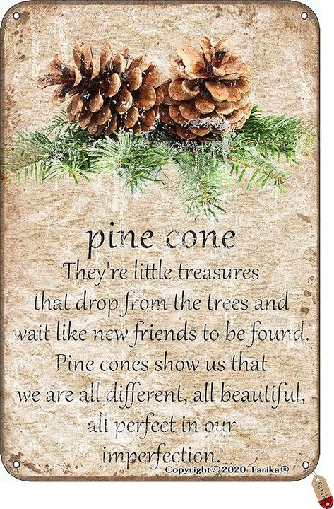 Amazon.com: Pine Cone They're Little Treasures That Drop from The Trees and Wait Like New Friends to Be Found 20X30 cm Vintage Look Iron Decoration Art Sign for Home Store Inspirational Quotes Wall Decor : Home & Kitchen Funny Wall Decor, Cones Crafts, Pine Cone Crafts, Wall Decor Quotes, Art Sign, Pine Cone, Iron Decor, Wisteria, Wall Quotes