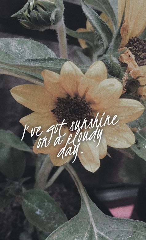 I Got Sunshine On A Cloudy Day, Cloudy Weather Quotes, Sunshine Captions, Rainy Day Quotes, Sunshine On A Cloudy Day, Wallpapers Nature, Weather Quotes, Weekday Quotes, Cloudy Weather