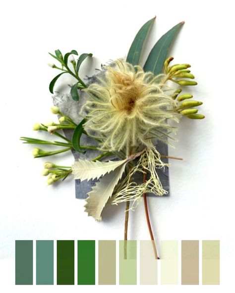 Ephemeral Art, Australian Flowers, Australian Flora, Color Studies, Mixed Media Artists, Artist On Instagram, My World, Botanical Art, Colour Palette