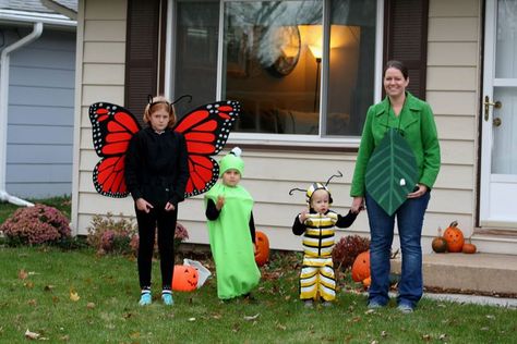 Lifecycle costumes Halloween Costumes Butterfly, Piglet Costume, Butterfly Halloween Costume, Caterpillar Costume, Butterfly Halloween, Butterfly Lady, Party City Costumes, Butterfly Costume, Vintage Halloween Costume