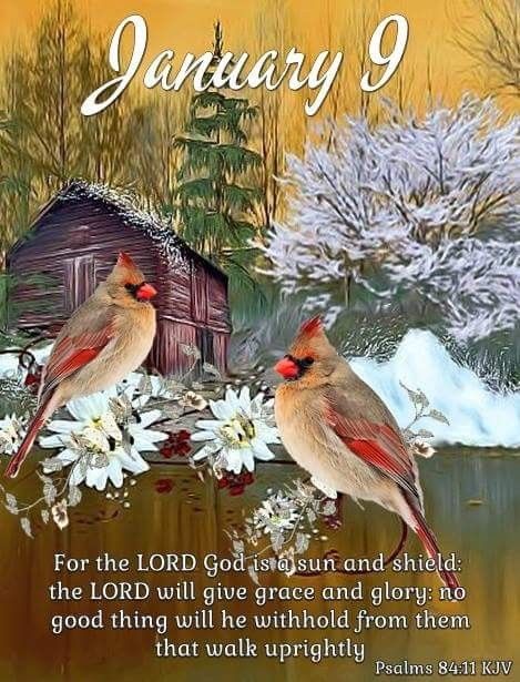 Tuesday January 9, 2018. January Holidays, December Scriptures, Words Of Faith, January Quotes, New Month Quotes, Christmas Bible Verses, Weekday Quotes, The Great I Am, Good Morning God Quotes