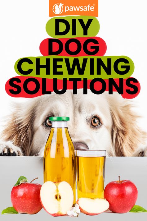 Combat dog chewing with these DIY solutions! Learn to make homemade anti-chew sprays and more. 🐶 #DogChewing #DIYRemedies #StopChewing #PetCare #DogBehavior Homemade Dog Deterrent Spray, Bitter Apple Spray Dogs Homemade, Diy Dog Chewing Deterrent, No Chew Spray For Dogs Diy, Dog Chewing Deterrent Homemade, Diy Bitter Apple Spray Homemade Dog, Anti Chew Spray For Dogs Diy, Long Lasting Dog Chews Homemade, Stop Dog From Chewing Everything