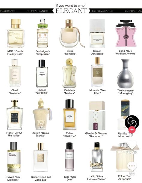 Winter Perfume, Perfume Hacks, Fragrance Lab, Fragrances Perfume Woman, Perfume Collection Fragrance, Bath And Body Works Perfume, Perfume Scents, Perfume Lover, Best Perfume