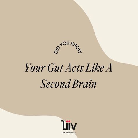 Your gut is equipped with its own nervous system known as the enteric nervous system. Beyond functioning like a second brain, there's also a gut-brain connection, also known as the gut-brain axis. The gut-brain connection refers to the fact that the "brain in our gut" and the brain in our head work in concert to support our overall health. Another example of the gut-brain connection is "butterflies in your stomach." Essentially, your feelings of nervousness or excitement end up triggering a queasy or uneasy feeling in your gut. Liiv now for a healthy tomorrow! Butterflies In Your Stomach, Enteric Nervous System, Second Brain, Brain Connections, Gut Brain, Overall Health, Nervous System, The Brain, Probiotics