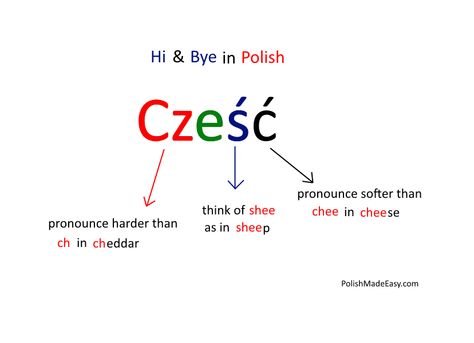 Polish Last Names, Polish Sayings, Learning Polish, Slavic Languages, Polish Quotes, Polish Culture, Learn Polish, Polish Names, Counting To 20