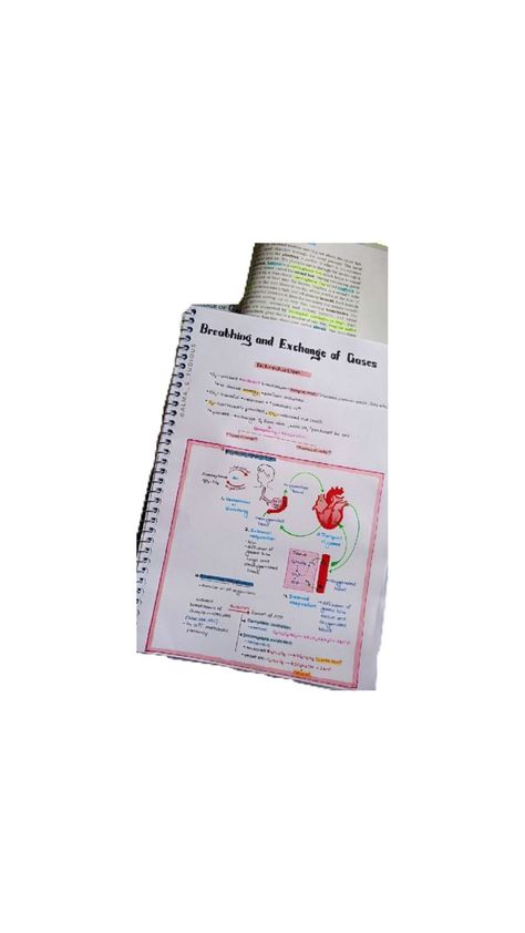 neet Biology Breathing And Exchange Of Gases, Biology Notes, Biology