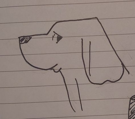 Floppy Ears Drawing, Dog Drawing Side View, Dog With Floppy Ears, Ears Drawing, How To Draw Ears, Dog Sketch, Dog Nose, Floppy Ears, Dog Drawing