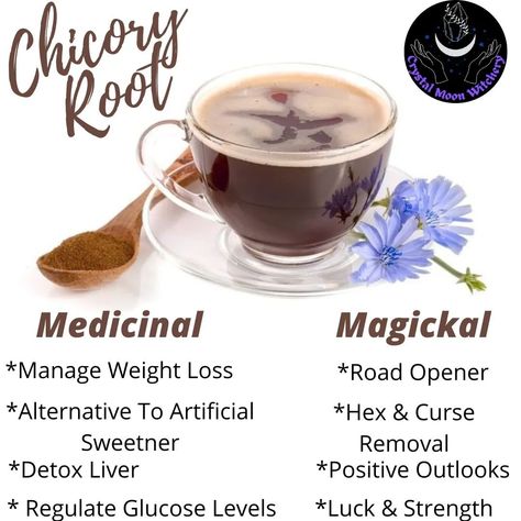 🌛Crystal🌕Moon🌜’s Instagram photo: “Chicory root is another herb I will be listing on the website later today. Carry with you as a road opener to new opportunities as well as…” Chicory Root Benefits, Road Opener, What Are Essential Oils, Chicory Root, Crystal Moon, Liver Detox, Healing Hands, Positive Living, Doterra Oils