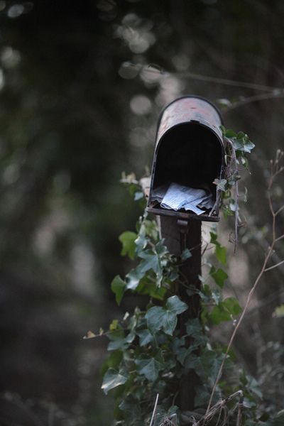 rural Ivy Covered Cottage, Country Mailbox, Vintage Gardens, Old Mailbox, Climbing Ivy, Authentic Farmhouse, Ivy Cottage, Humble Heart, Green Cottage