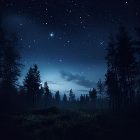 Prompt in caption: a dreamy midnight sky with sharp stars and one full moon and a little, small black silhouette of a swedish forest only at the bottom, 8K, Hasselblad X2D, hyper realistic, crystal clear details, 7:5 🔥Visit link in bio to more free prompts and more creative pictures. (Daily updates) #AIArt #midjourney #PromptPal #aiartcommunity #digitalart #aiphotography #midjourneyartwork #starrynight #ailandscape Hasselblad X2d, Swedish Forest, Discord Layout, Midnight Forest, Mountains At Night, Dark Mountains, Dark Modern, Night Sky Photography, Sky Stars