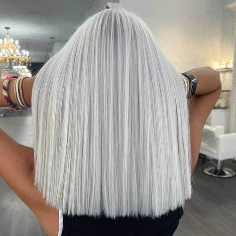 Platnium Blonde Hair, Platinum Blonde Hair Ideas, Ion Hair Colors, Icy Blonde Hair Color, Icy Hair, Shade Of Blonde, Platinum Hair Color, Ice Blonde Hair, Silver White Hair