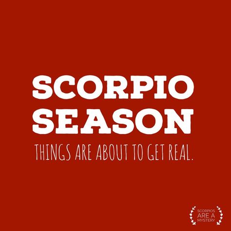 Scorpio Season Quotes, Its Scorpio Season, Scorpio Season Is Here, Lady Scorpio, Season Quotes, Scorpio Season, Zodiac Stuff, Scorpio Zodiac, Zodiac Quotes