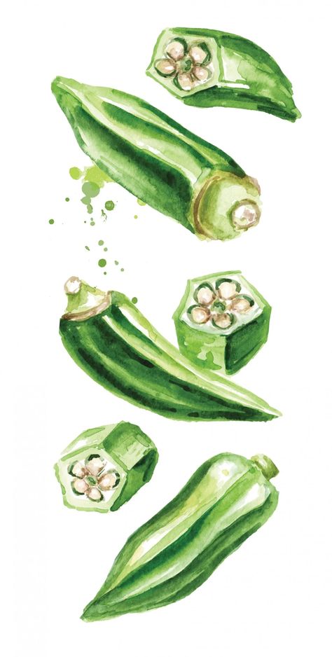 The Stowaway - Acadiana Profile Vegetables Watercolor, Nola Recipes, Vegetable Drawing, Bunny Sketches, Botanical Study, Different Salads, South Louisiana, Architecture Design Drawing, Object Drawing