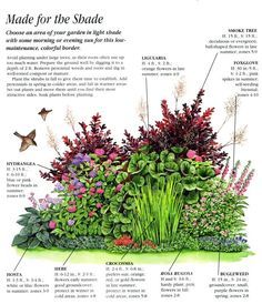 Survival Garden, Flower Garden Plans, Backyard Garden Diy, Corner Garden, Easy Backyard, Garden Shrubs, Have Inspiration, Backyard Garden Design, Diy Garden Projects